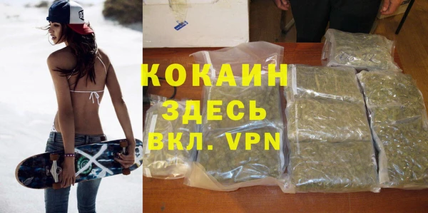 твердый Алексеевка