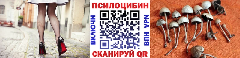 Псилоцибиновые грибы прущие грибы Карабулак